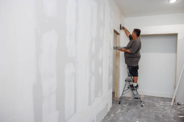 Best Drywall Texturing  in USA